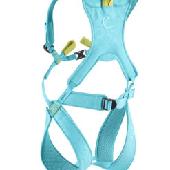 Das Bild zeigt das Edelrid Fraggle Kinder Klettergeschirr. Der türkise Klettergurt ist in Bildmitte mit all seinen Details von hinten zu sehen. Man erkennt die Beinschlaufen, das Hüftband, die Brust- bzw. Schultergürtel und die gelbe Anseilschlaufe.