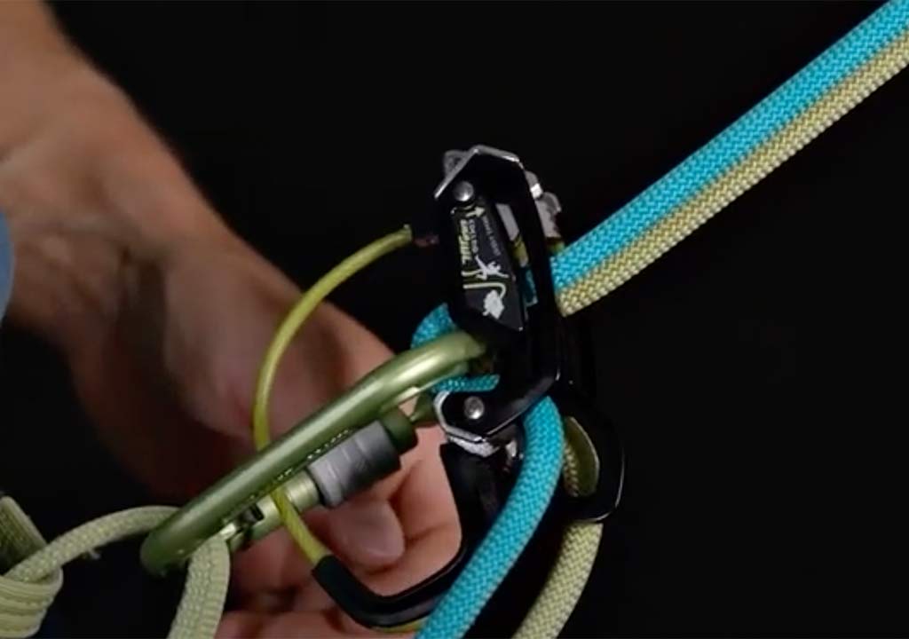 Das Bild zeigt ein Edelrid Sicherungsgerät an einem Klettergurt mit eingelegten Doppelseilen.