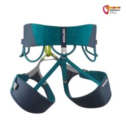 Blau - türkiser Edelrid Jay IV Allround Klettergurt von der Rückseite auf weißem Hintergrund.