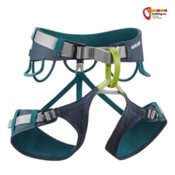Blau - türkiser Edelrid Jay IV Allround Klettergurt von der Vorderseite auf weißem Hintergrund.