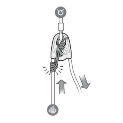 Grafik zur Verwendung von Prusikschlingen bei der Petzl Twin Seilrolle.